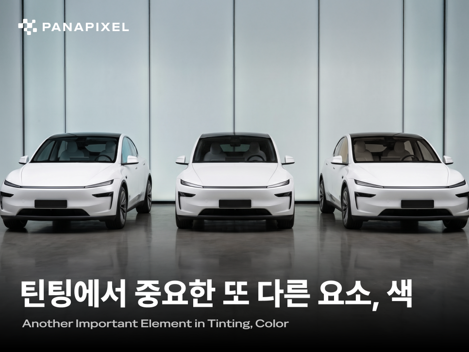 틴팅에서 중요한 또 다른 요소, 색