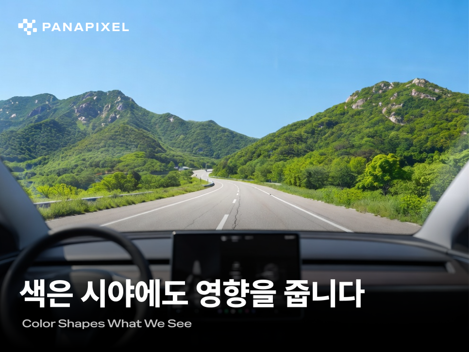 색은 시야에도 영향을 줍니다