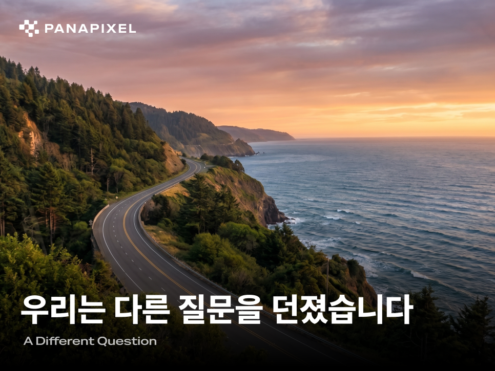 우리는 다른 질문을 던졌습니다