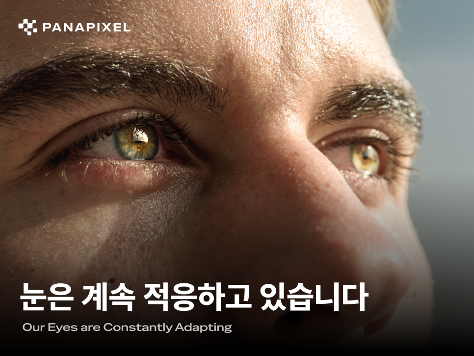 눈은 계속 적응하고 있습니다