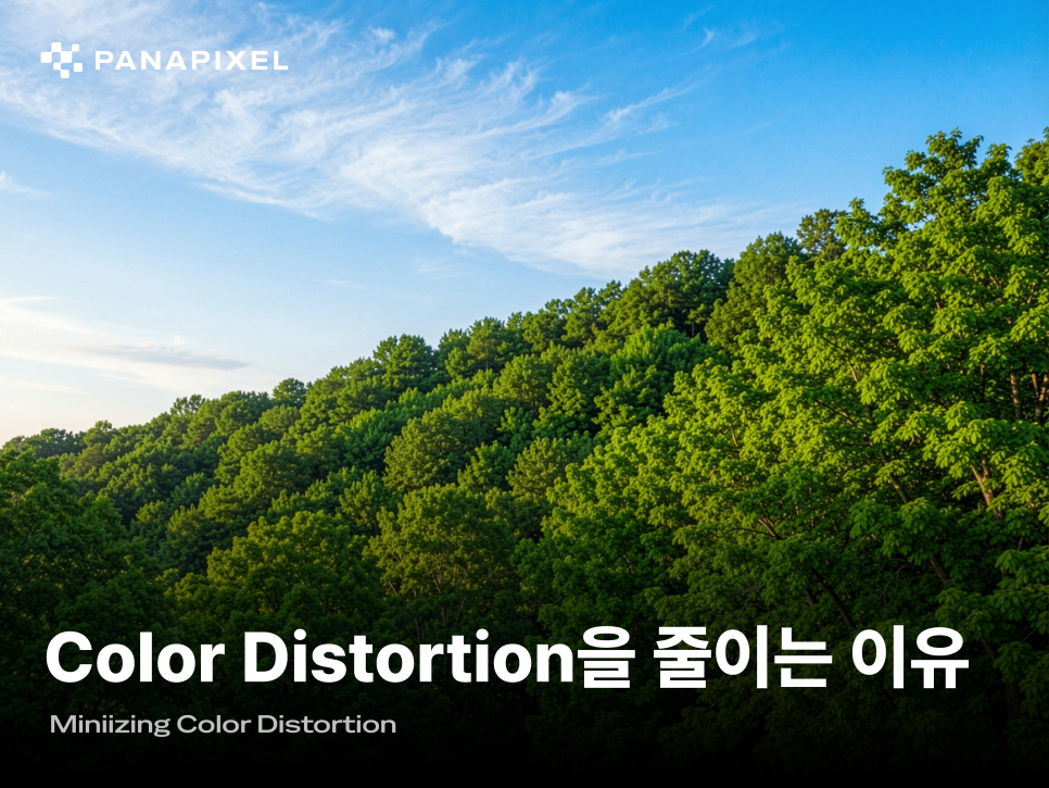 Color Distortion을 줄이는 이유