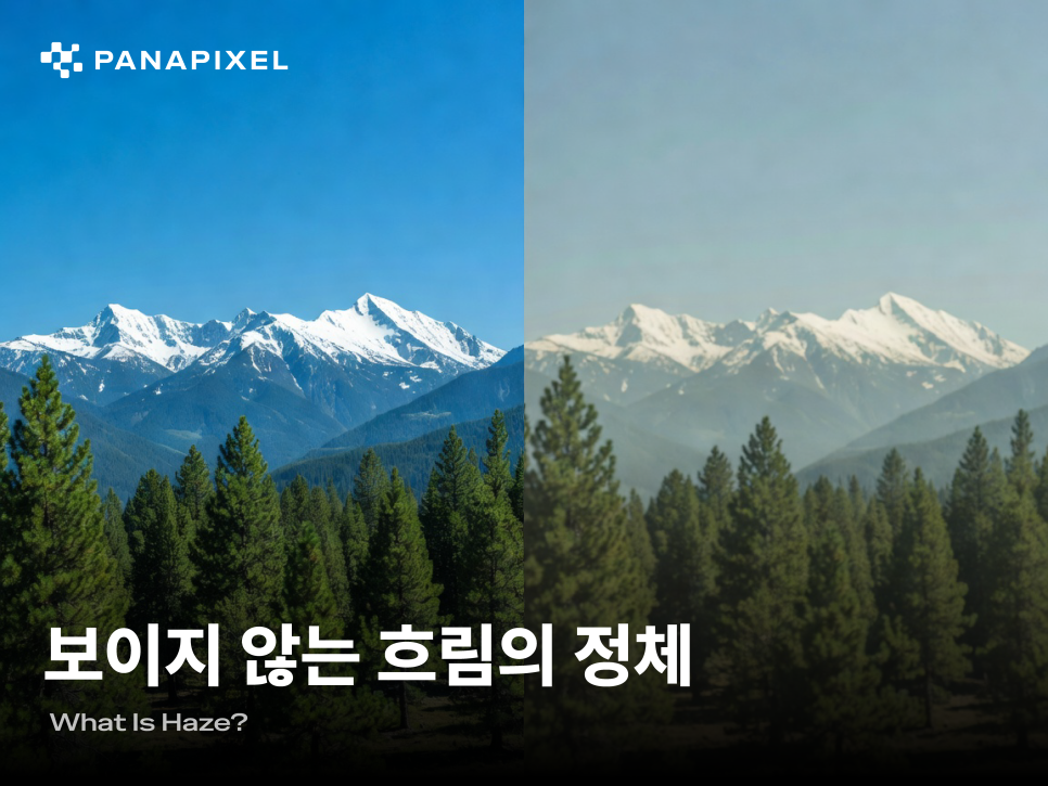 보이지 않는 흐림의 정체