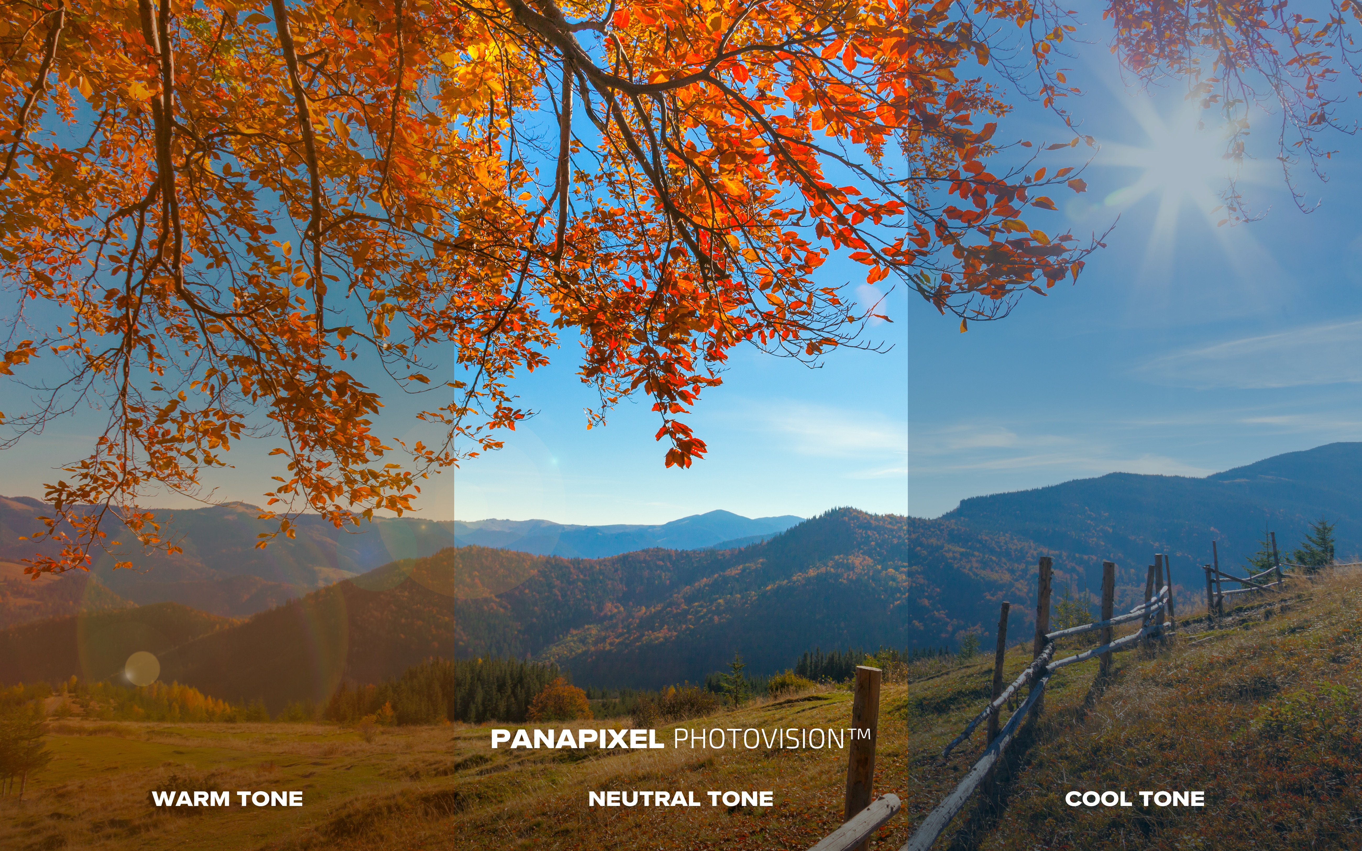 PANAPIXEL UB — Ultra Natural Black