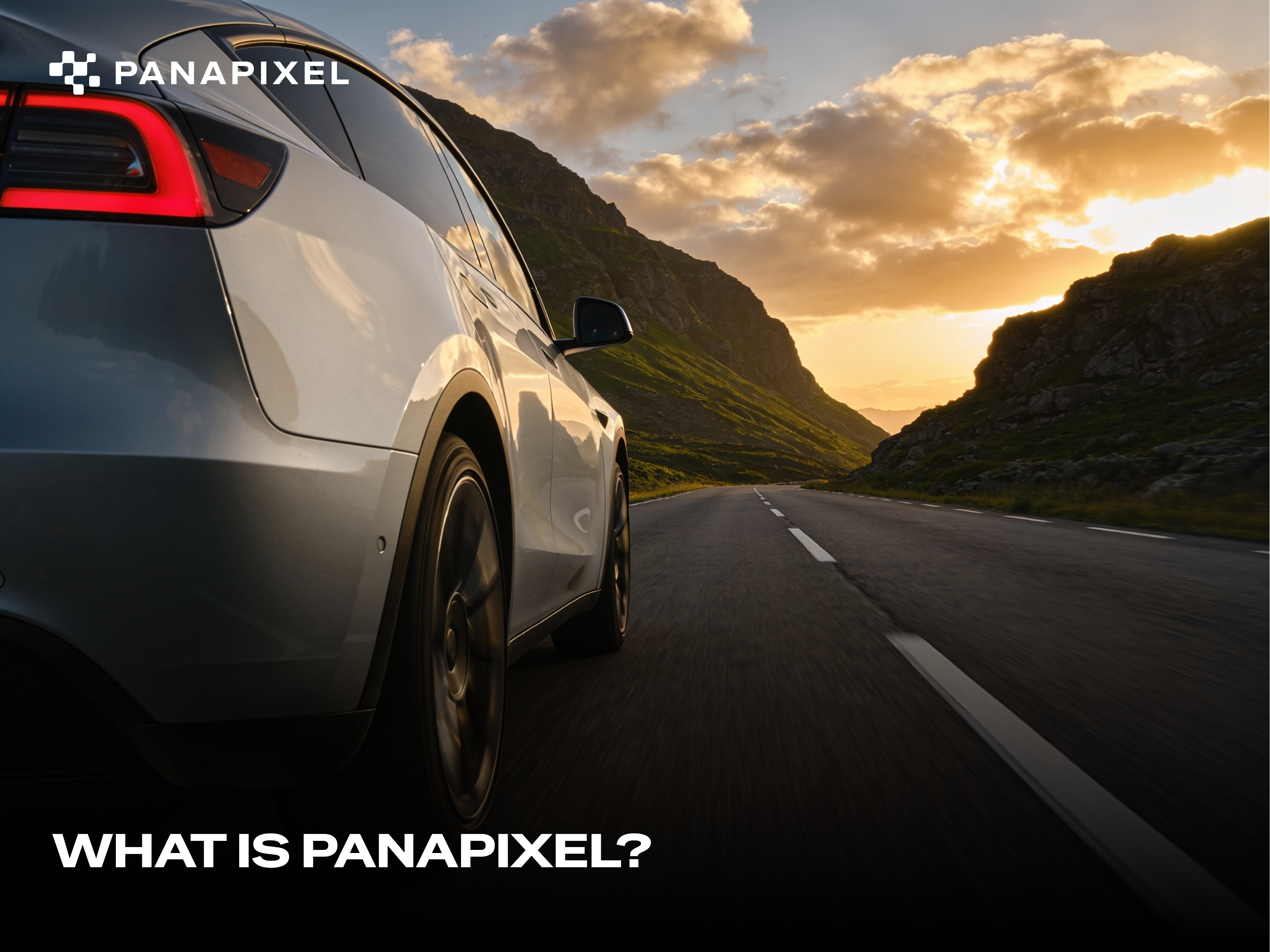 What Is PANAPIXEL? D#10