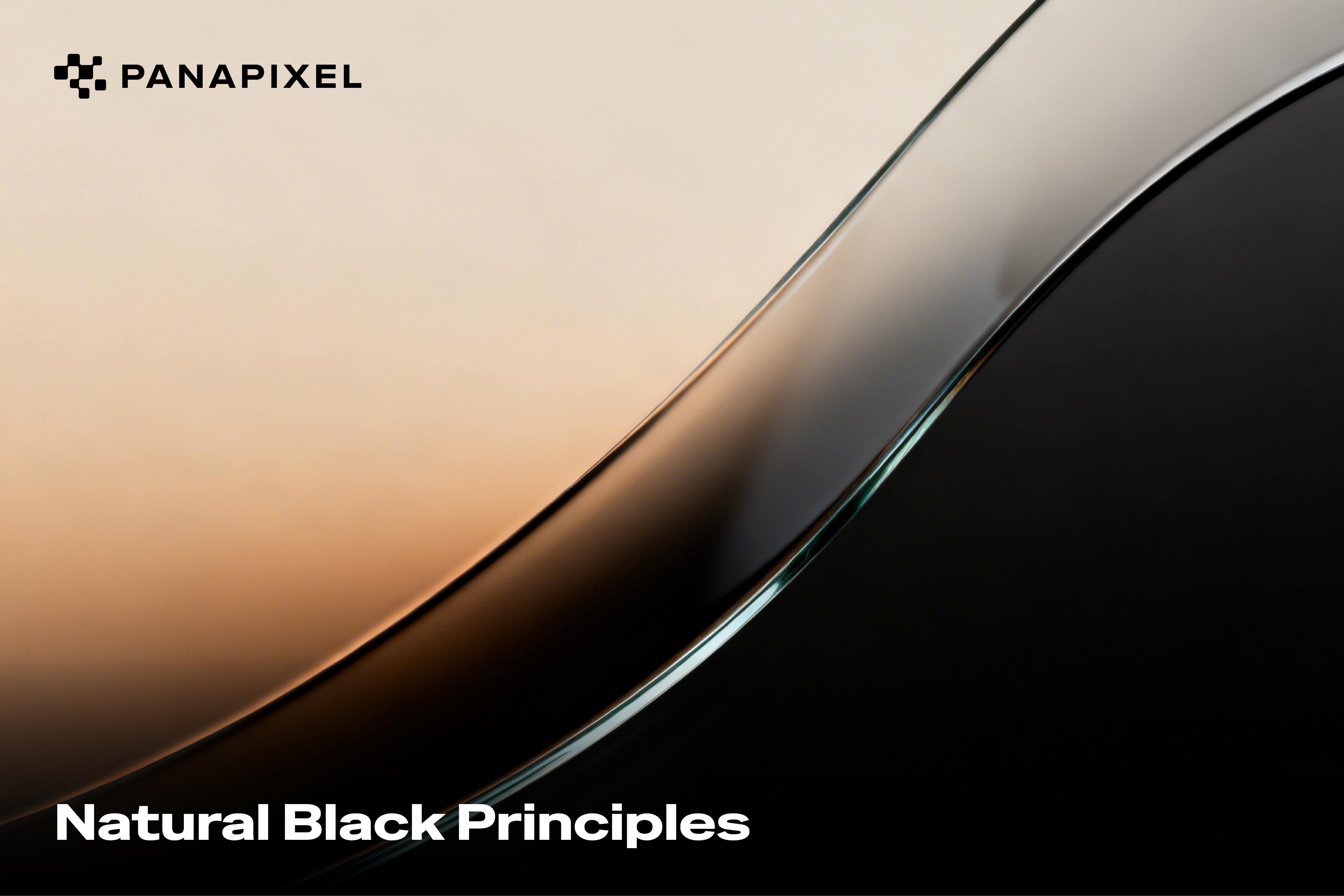 The Principles Behind PANAPIXEL UB Natural Black