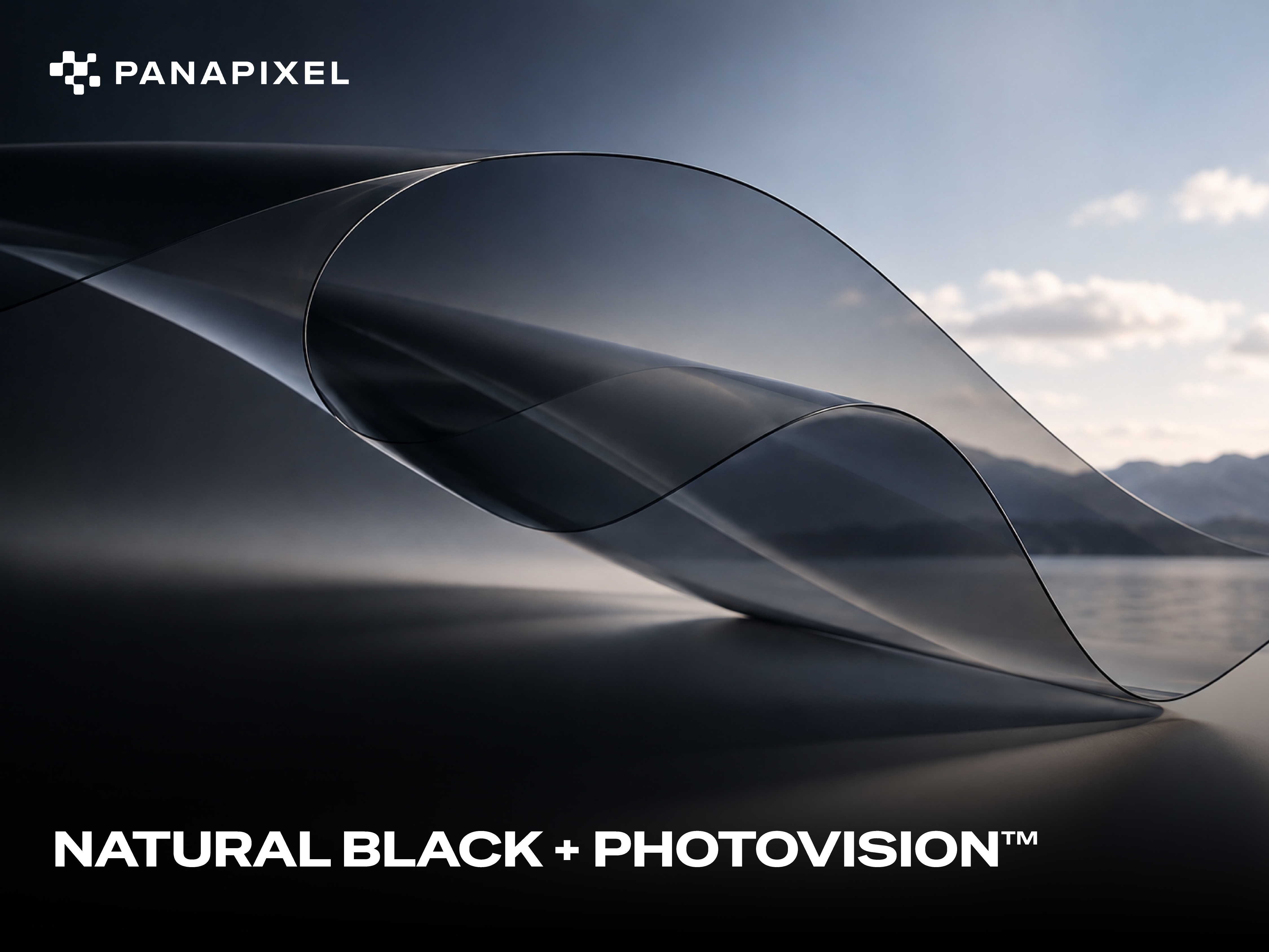 PANAPIXEL PHOTOVISION