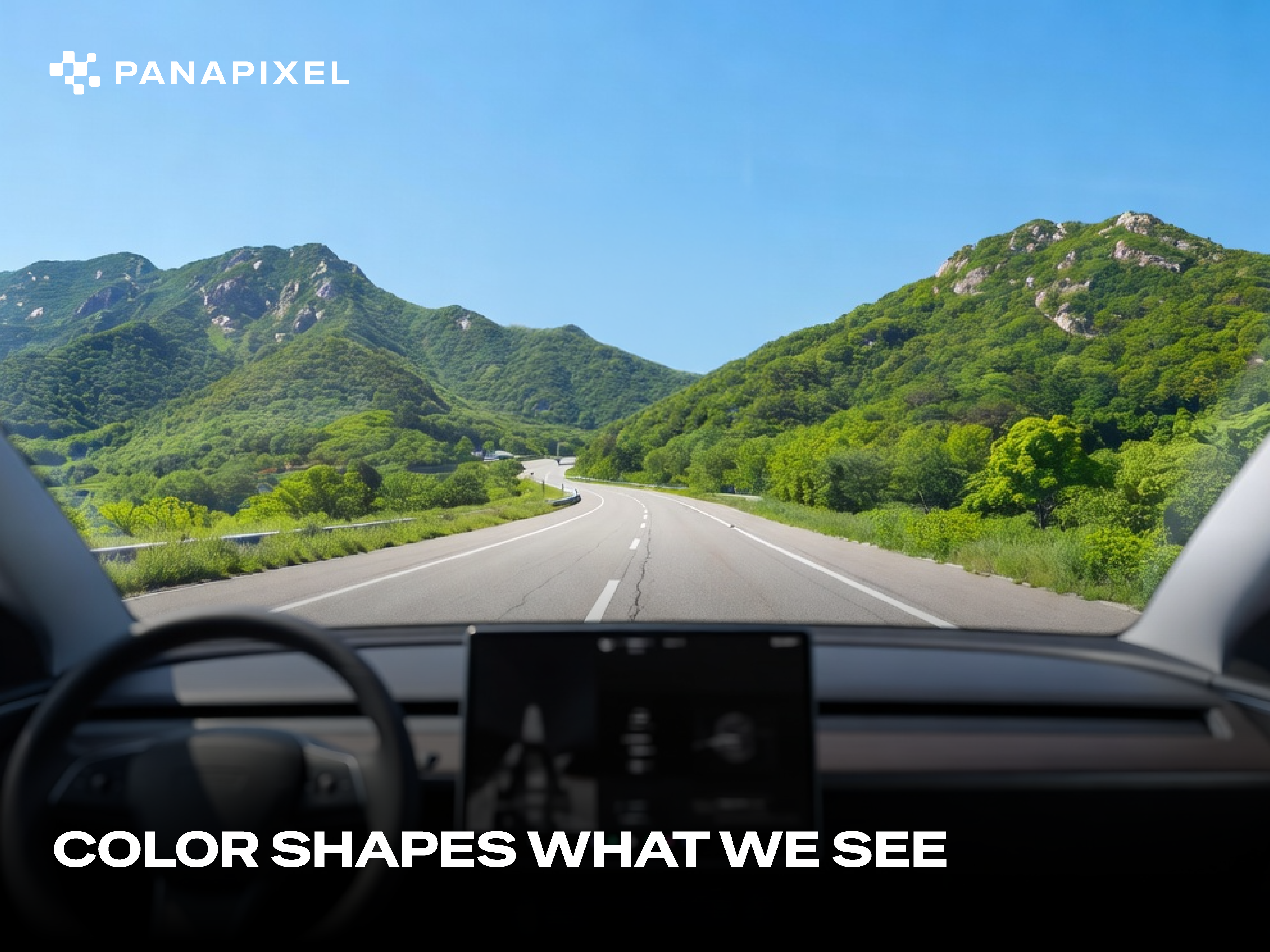 Color Is More Important Than You Think I#5
