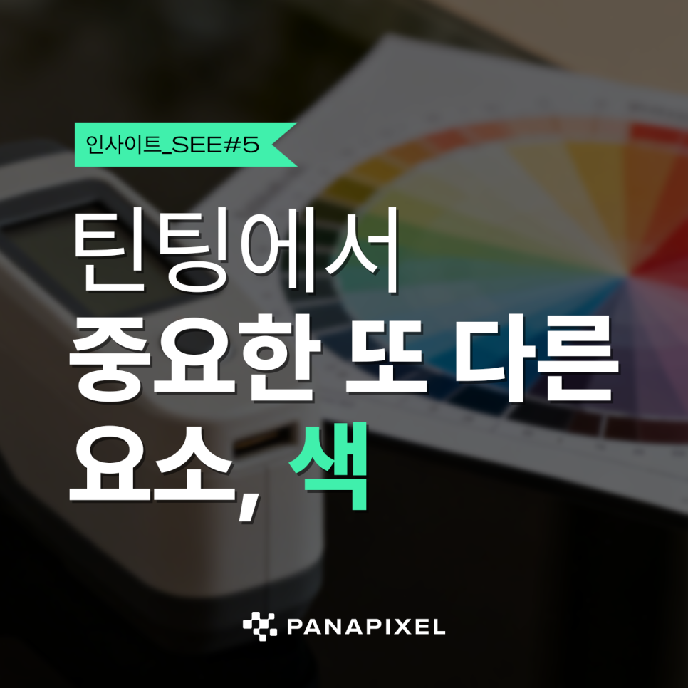 틴팅에서 중요한 또 다른 요소, 색 I#5