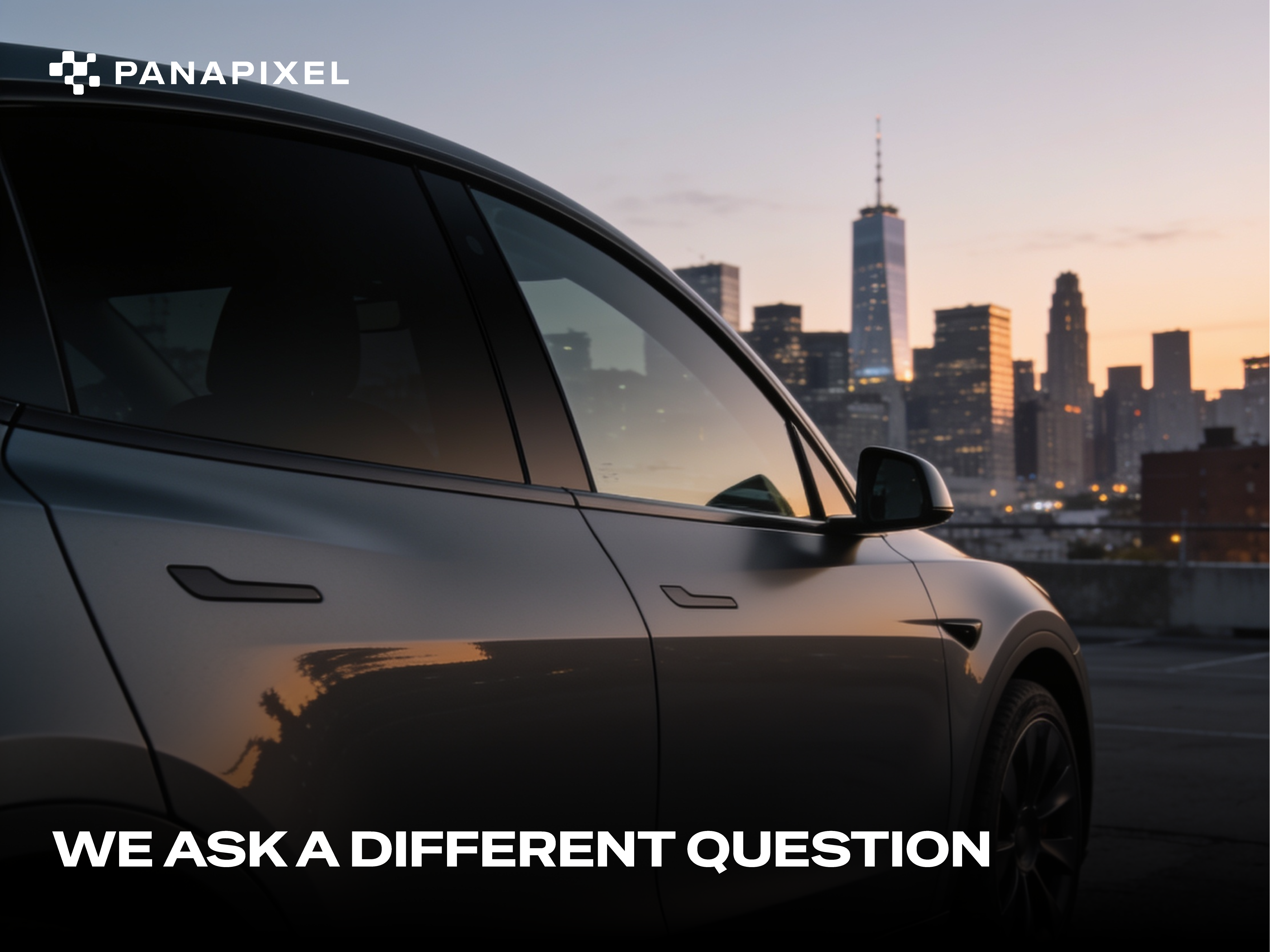 What Is PANAPIXEL? D#10