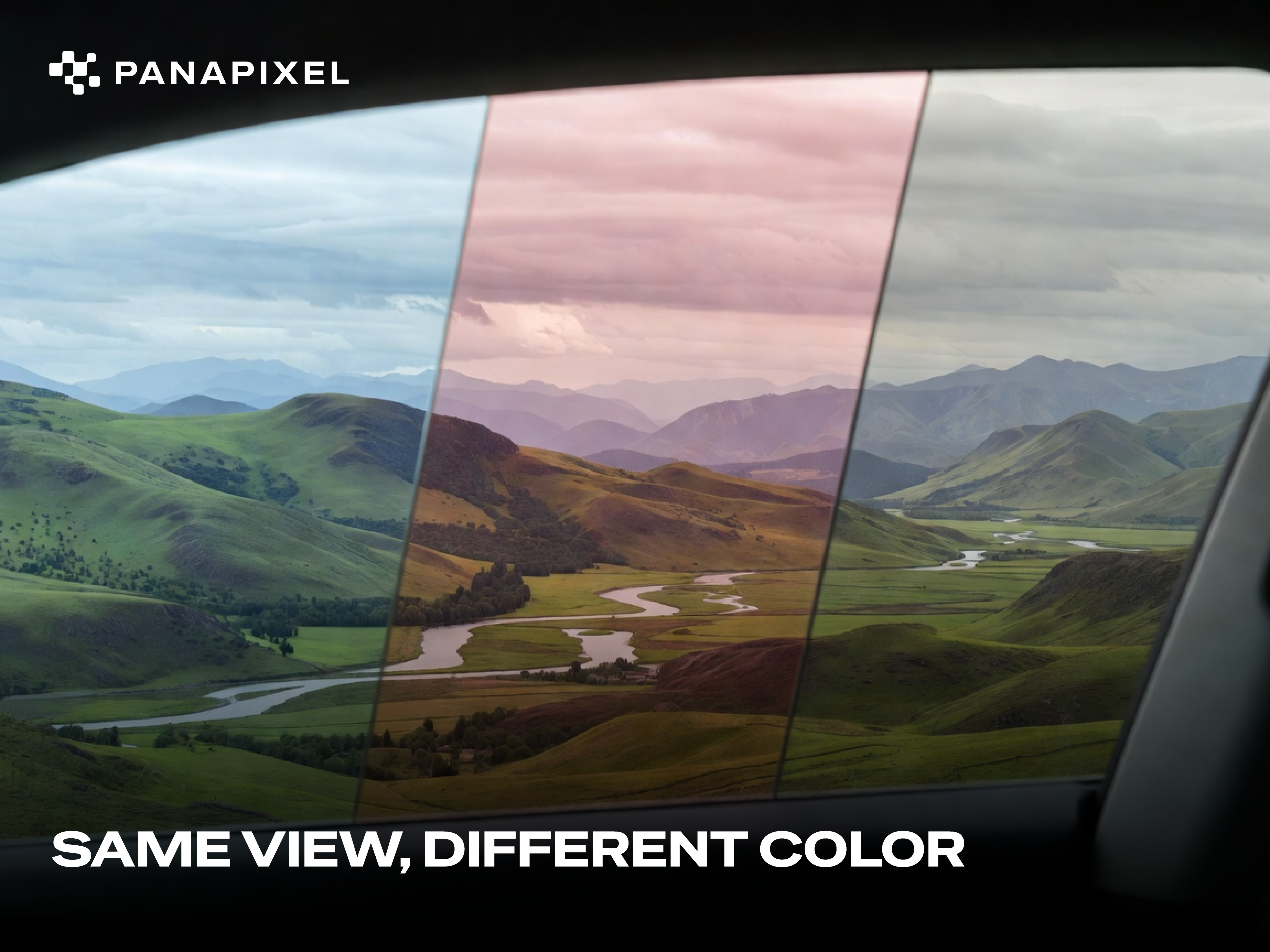 Same View, Different Color D#11
