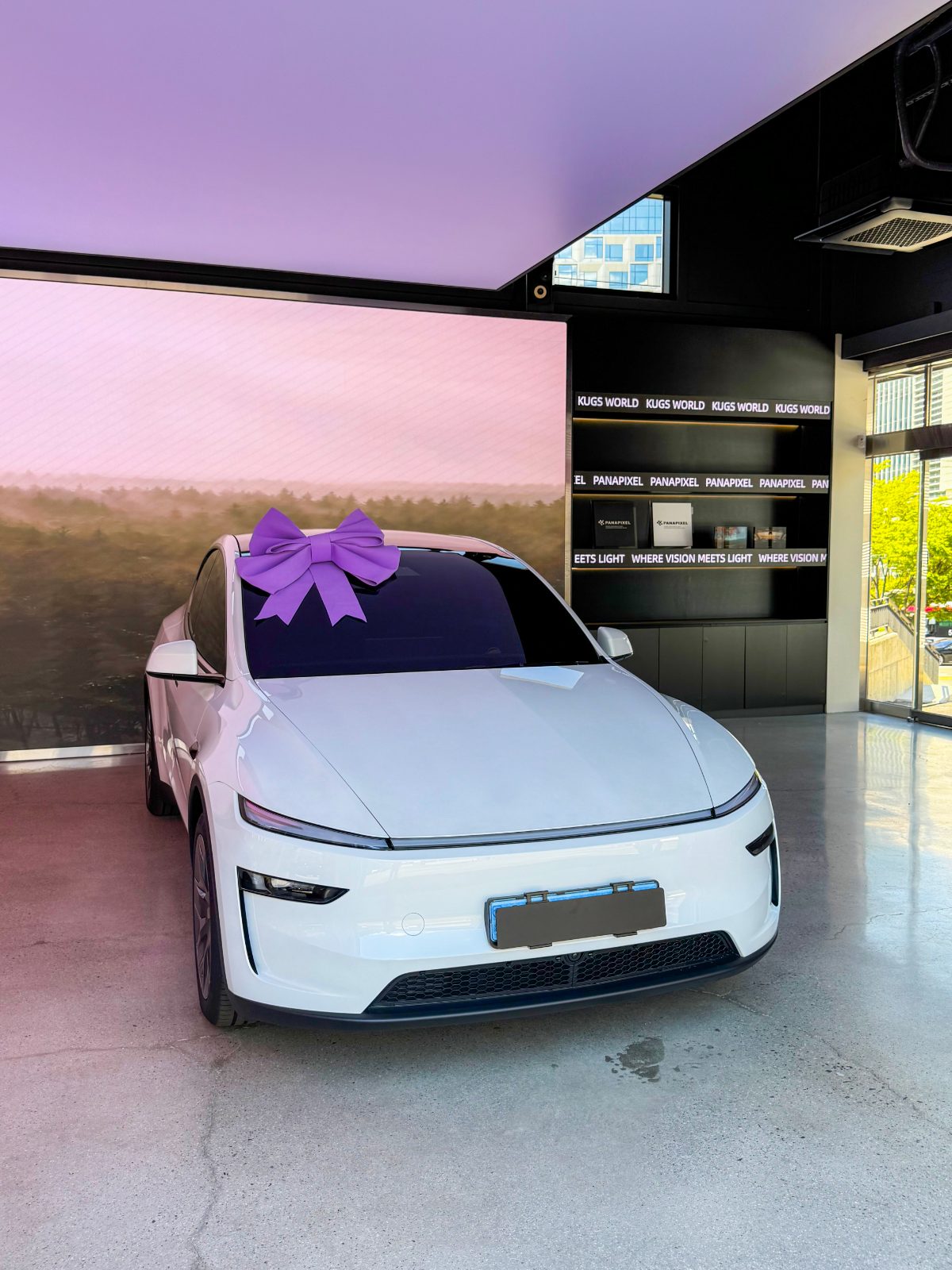 Tesla Model YL 틴팅+전체PPF+유리막 코팅